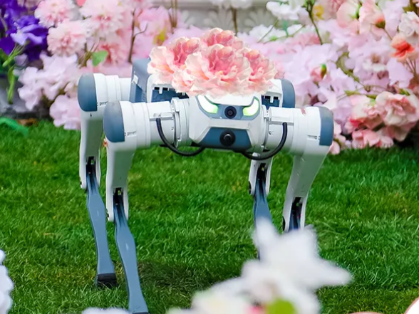 低空赏花，智能游船......“2025十大春日踏青新玩法”出炉 | 微观察  