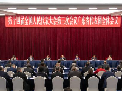 广东代表团举行全体会议审议政府工作报告 黄坤明谌贻琴王伟中黄楚平等发言