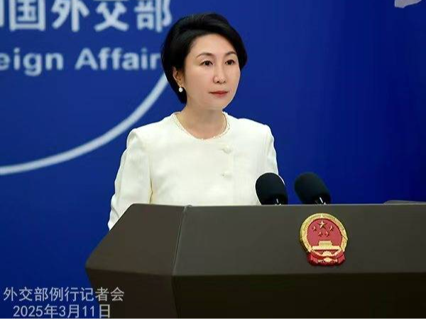 菲律宾前总统杜特尔特被逮捕，外交部回应