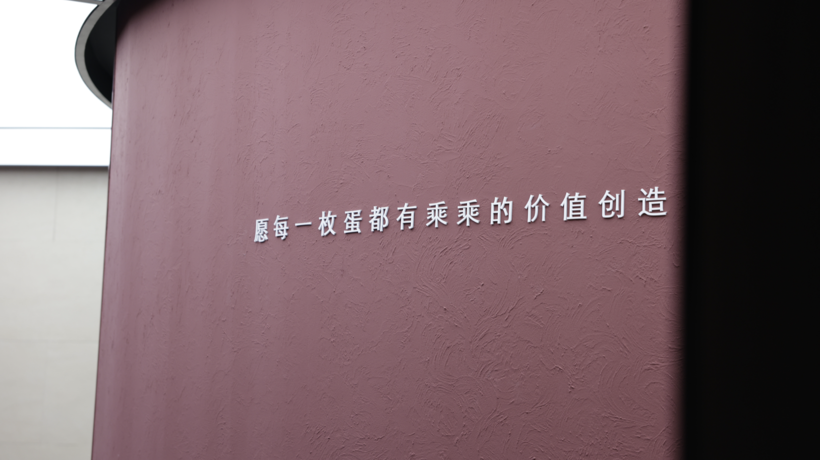 乘乘集团首席信息官刘冬青：“非典型”农业公司让“土鸡蛋”潮起来｜创新创业深圳人㉙
