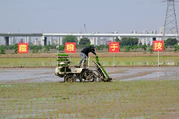 良种加良法，良机配良田！今年中山计划春播作物面积7.59万亩