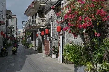 民进中山市委会：“吸金”引才发挥传统村落文化教育功能，助力“百千万工程”