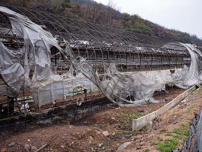 韩国山火复燃！已致30人死亡