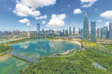 深圳一周丨各区书记区长在忙啥？（3月10日-3月16日）