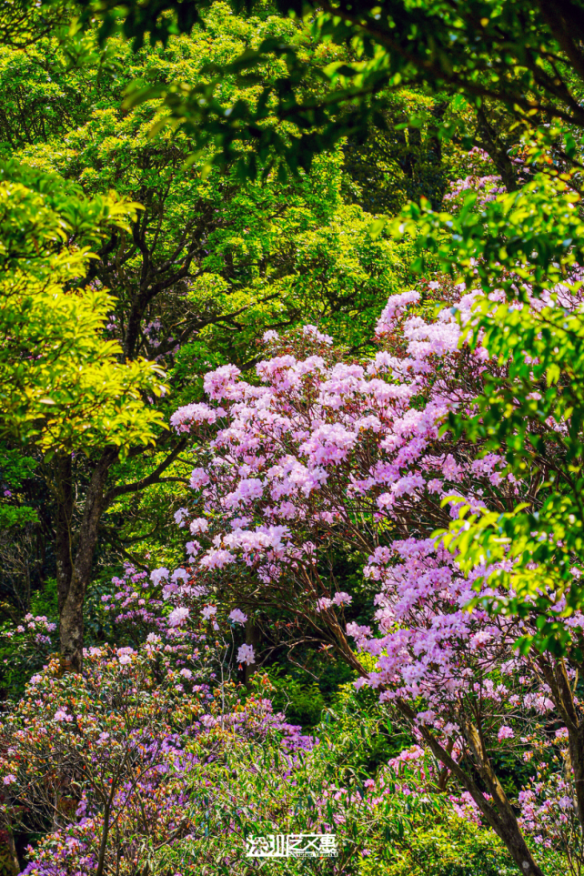 DSC03769.png