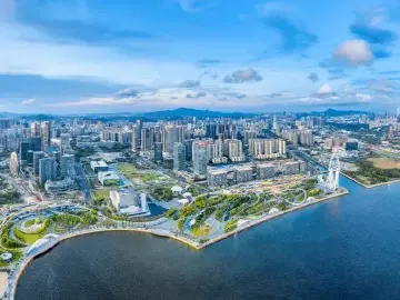 深圳一周丨各区书记区长在忙啥？（3月24日-3月30日）