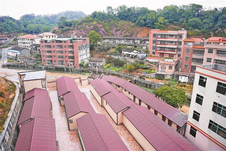宝安区慈善会定向捐赠项目精准落地