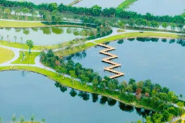 市人大常委会环资工委：发挥监督职能，推动绿美中山建设丨两会前奏