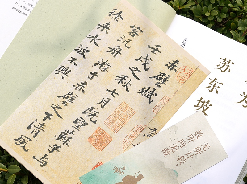 《成为苏东坡》，一部温暖治愈的东坡心灵传全新出版