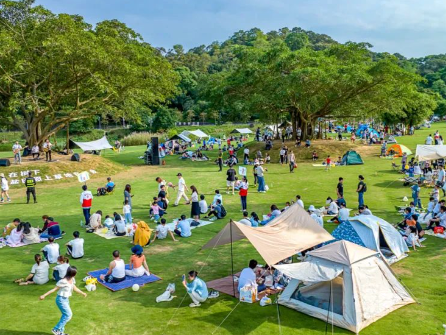 可以自驾进梧桐山啦！景区公告：今起试行预约入园