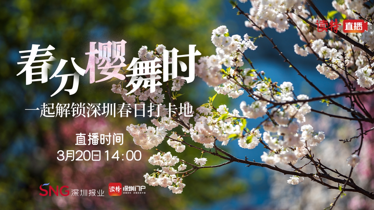直播｜春分樱舞时！一起解锁深圳春日打卡地