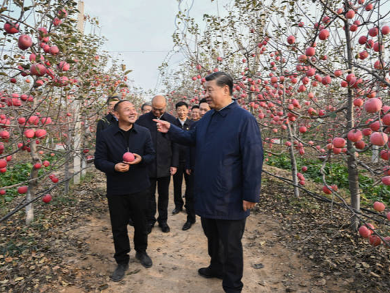 人民领袖 | 总书记谈到的“苹果故事”意味深长 