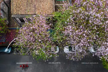 有奖征集！全市中小学生，一起来绘“绿美中山”吧