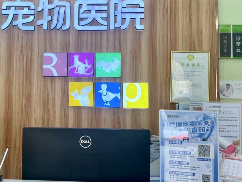 给宠物买医保真划算吗？消费者吐槽理赔陷阱多｜宠圈那些事