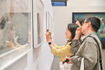 2025深圳艺术周凸显专业性国际化亲民性受热赞  在山海连城中发现艺术风景