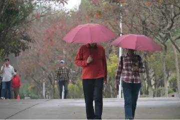 预计明天中山最低10℃！周末气温逐渐回升