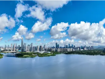 深圳创新发展碳金融推动绿色发展，全市碳资产质押融资业务规模累计达2.87亿元