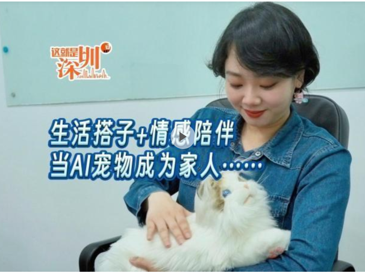 这就是深圳｜生活搭子+情感陪伴当AI宠物成为家人……