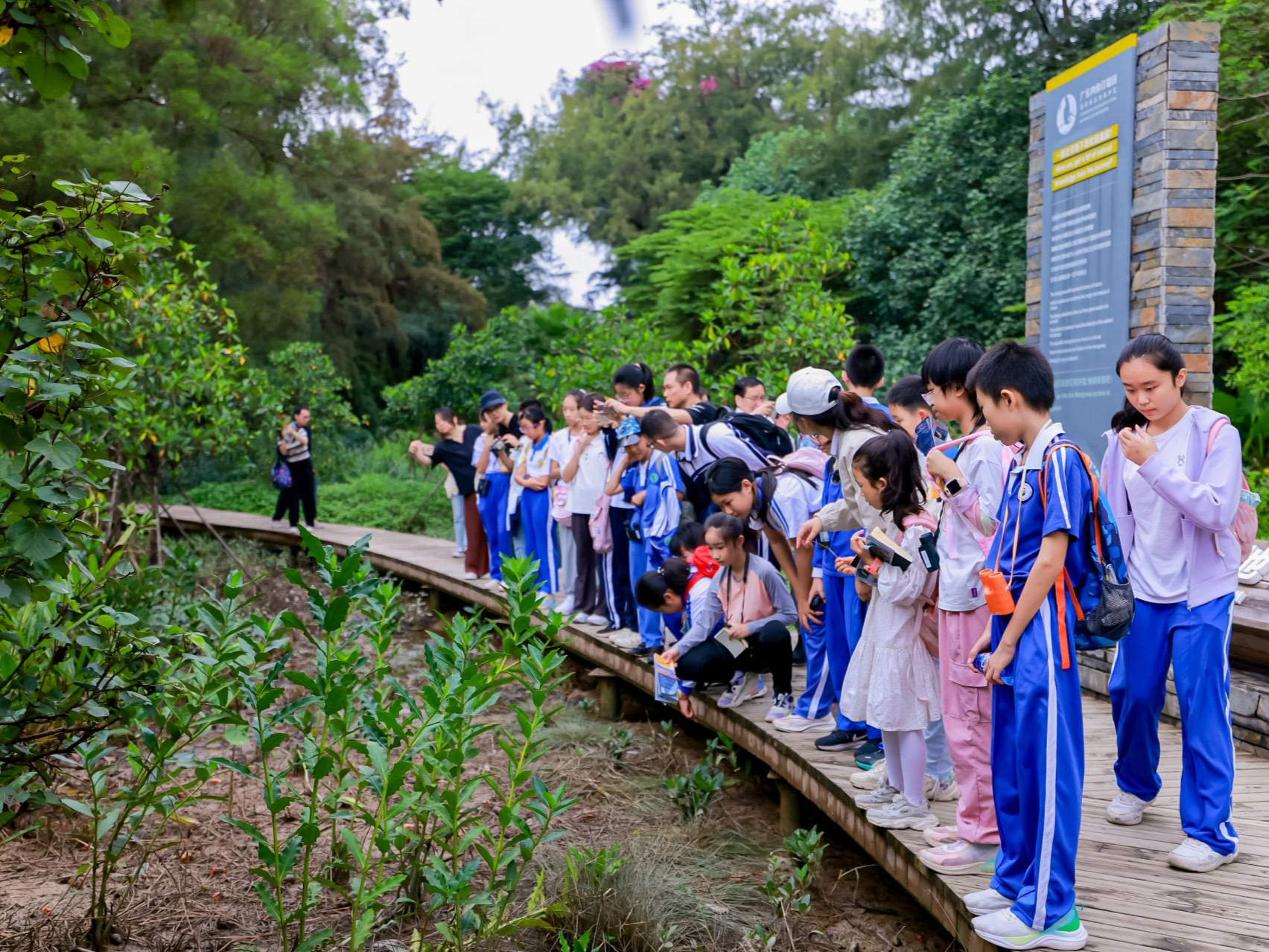 走进自然课堂，打卡精品绿美广东保护地