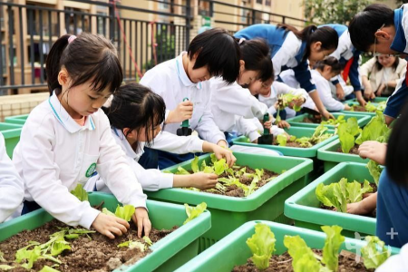 让孩子们双手沾一些“泥土气”！中山中小学积极开展耕读教育