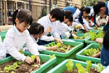 让孩子们双手沾一些“泥土气”！中山中小学积极开展耕读教育