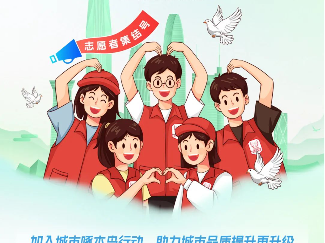 排查城市角落问题 城市啄木鸟行动启动