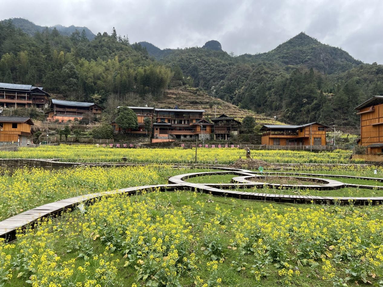 《山海对谈录：一位南山干部的桂北手记》① | 资源的春