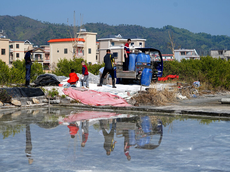 小资金撬动大民生！惠东黄埠三洲村改造升级环村道路 助力打造滨海旅游特色典型村