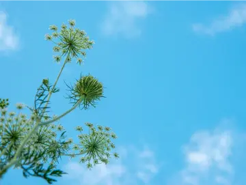 寻春之旅丨人文天地·南海潮