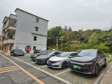 会整活！闲置地、边角地划线秒变停车位，网红打卡点体验感就上去了｜小区大件事