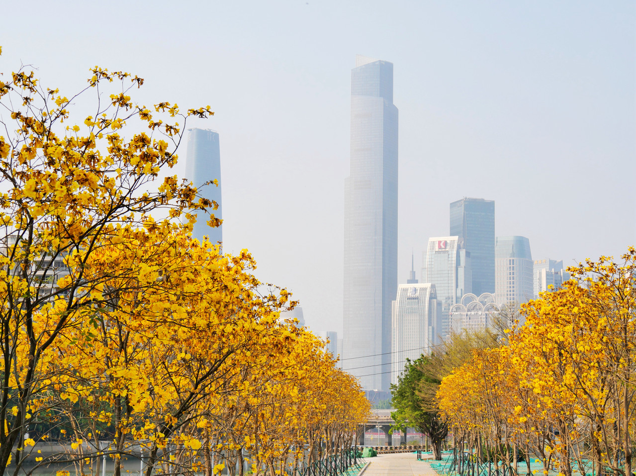 温度记 | 早晚体感凉飕飕，何时回暖？深圳气温还在“爬山坡”