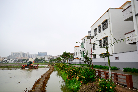 郭文海到大涌镇调研：更高质量推进“百千万工程”，推动产业实现脱胎换骨凤凰涅槃