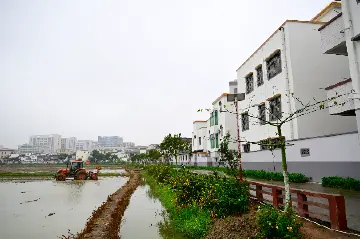 郭文海到大涌镇调研：更高质量推进“百千万工程”，推动产业实现脱胎换骨凤凰涅槃