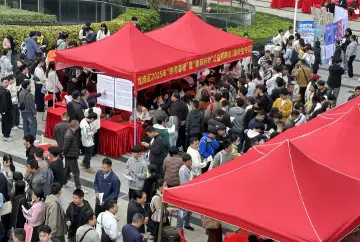 深圳为民营经济发展注入人才动能