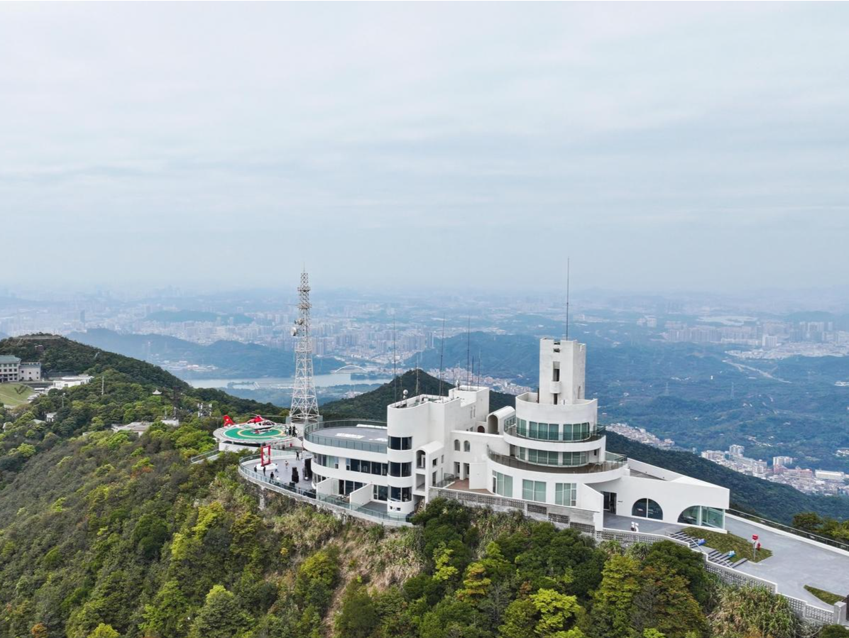 最低99元低空游花海！深圳“离天空最近”新地标开放
