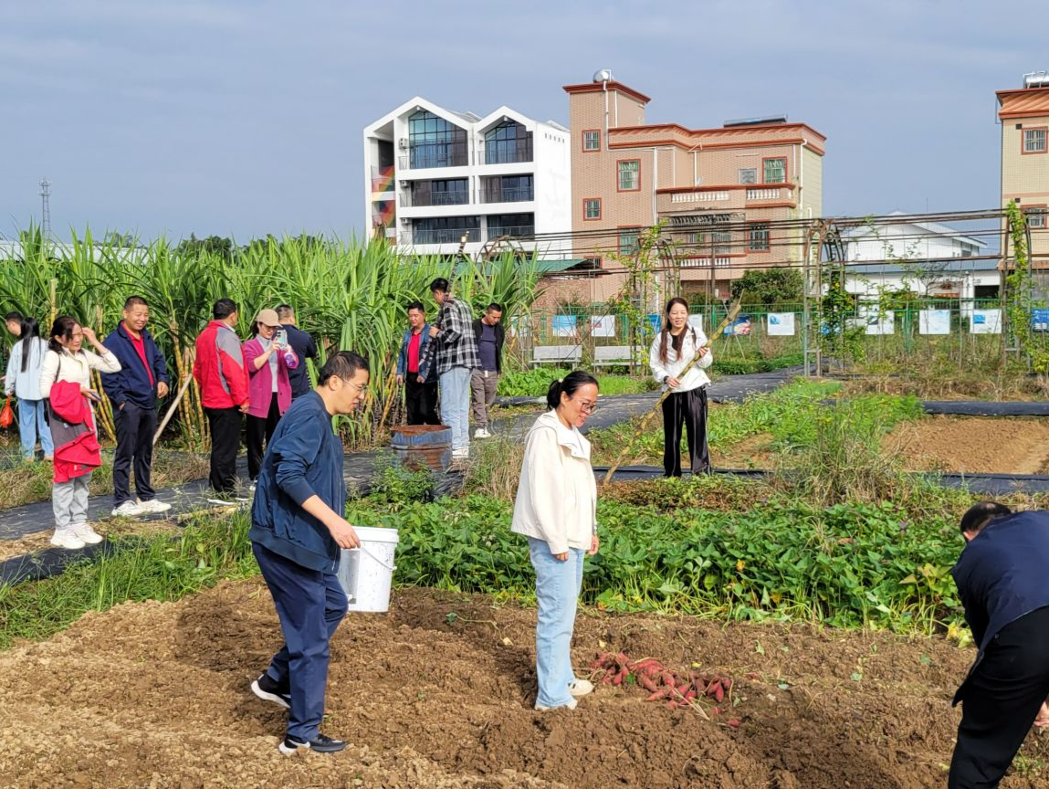 深圳启动“圳帮扶”资助计划，助力乡村振兴迈向新台阶