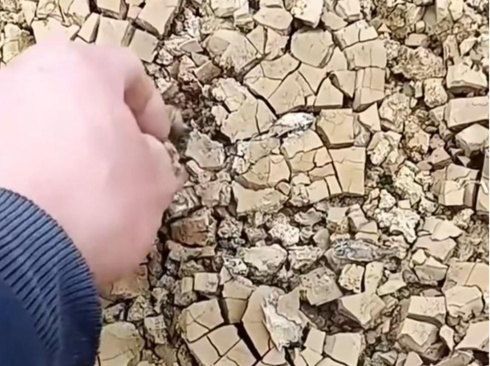 广西多地遭遇严重干旱！一地连旱7个月，已抽调地下水并限时供应