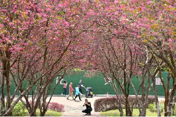 中山花海上线，多图来袭→