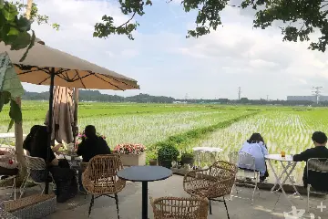 南朗街道崖口村产业逐“绿”而来！｜数字赋能“百千万工程”