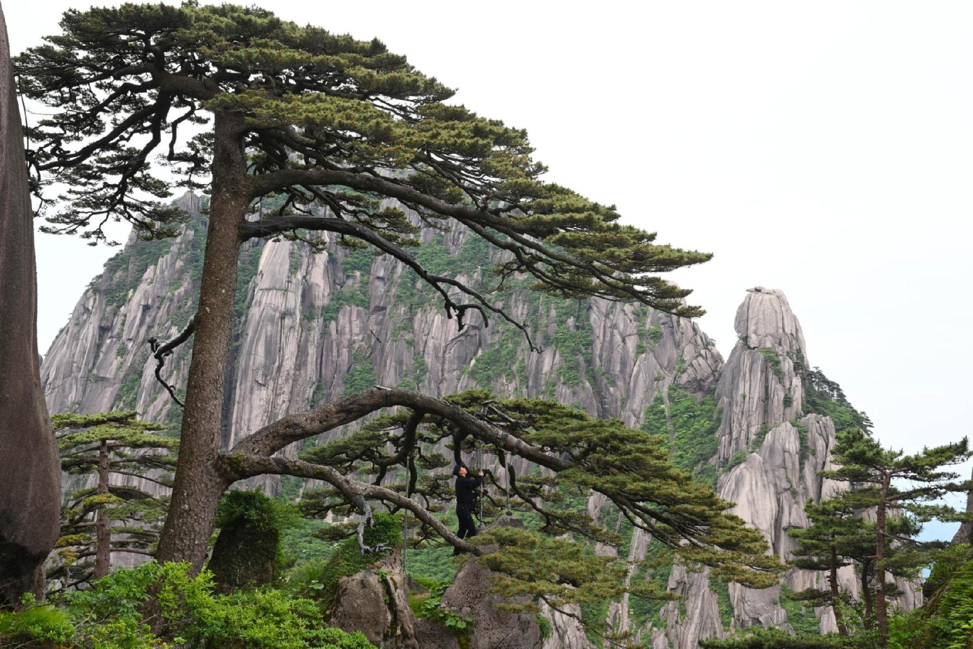 “五一”假期旅游市场热度飙升 A股旅游及酒店板块受市场关注