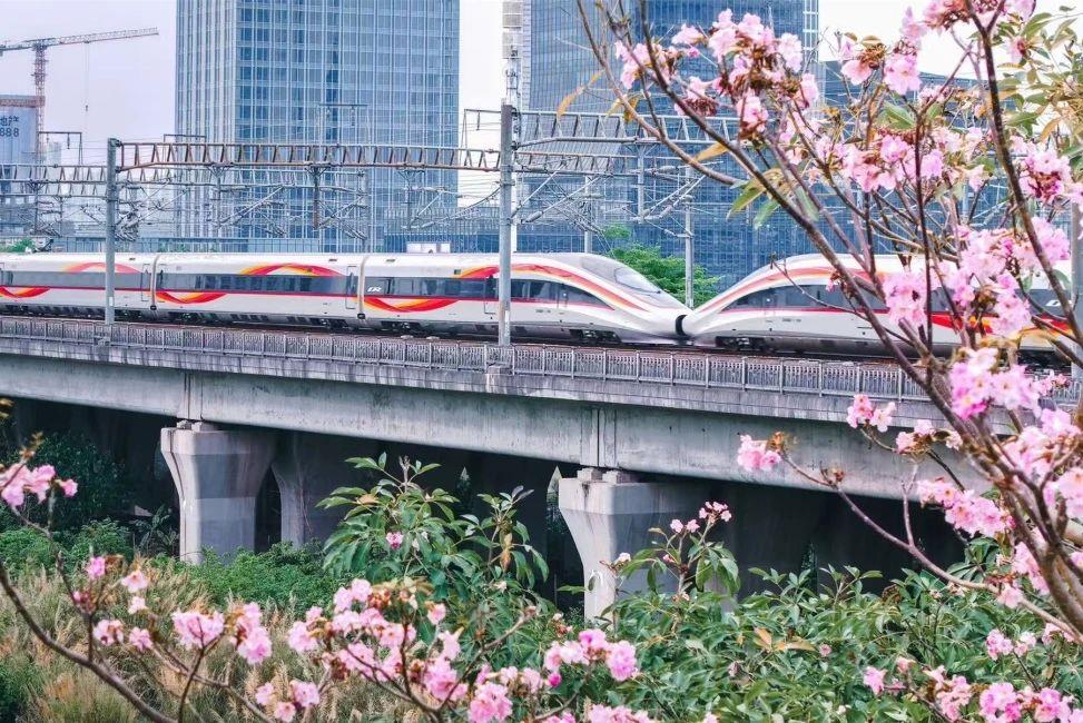 创同期历史新高！一季度全国铁路发送旅客10.74亿人次