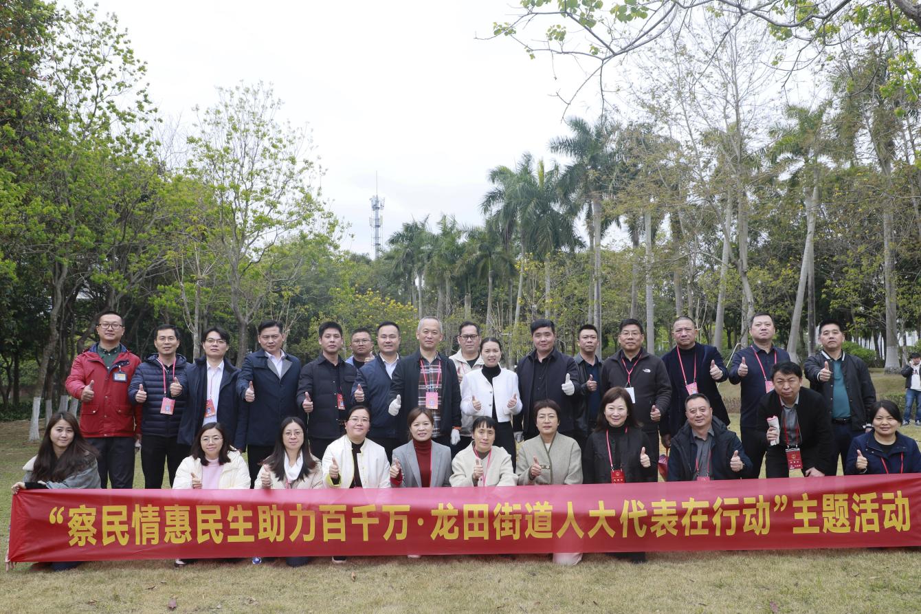龙田街道 “察民情惠民生助力百千万·人大代表在行动”主题活动启动