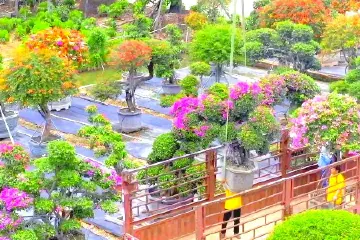 “中国花木之乡”里的“乡村数字游民”，让流量变农资！｜数字赋能“百千万工程”