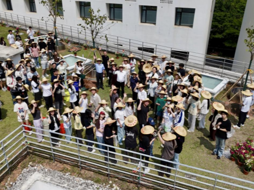 （待修改）致敬劳动者 青春充个“植”：深港学子在教学楼顶种了200多棵簕杜鹃和紫荆花树