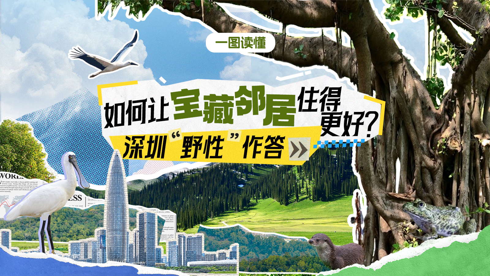 一图读懂 | 如何让“宝藏邻居”住得更好？深圳“野性”作答→