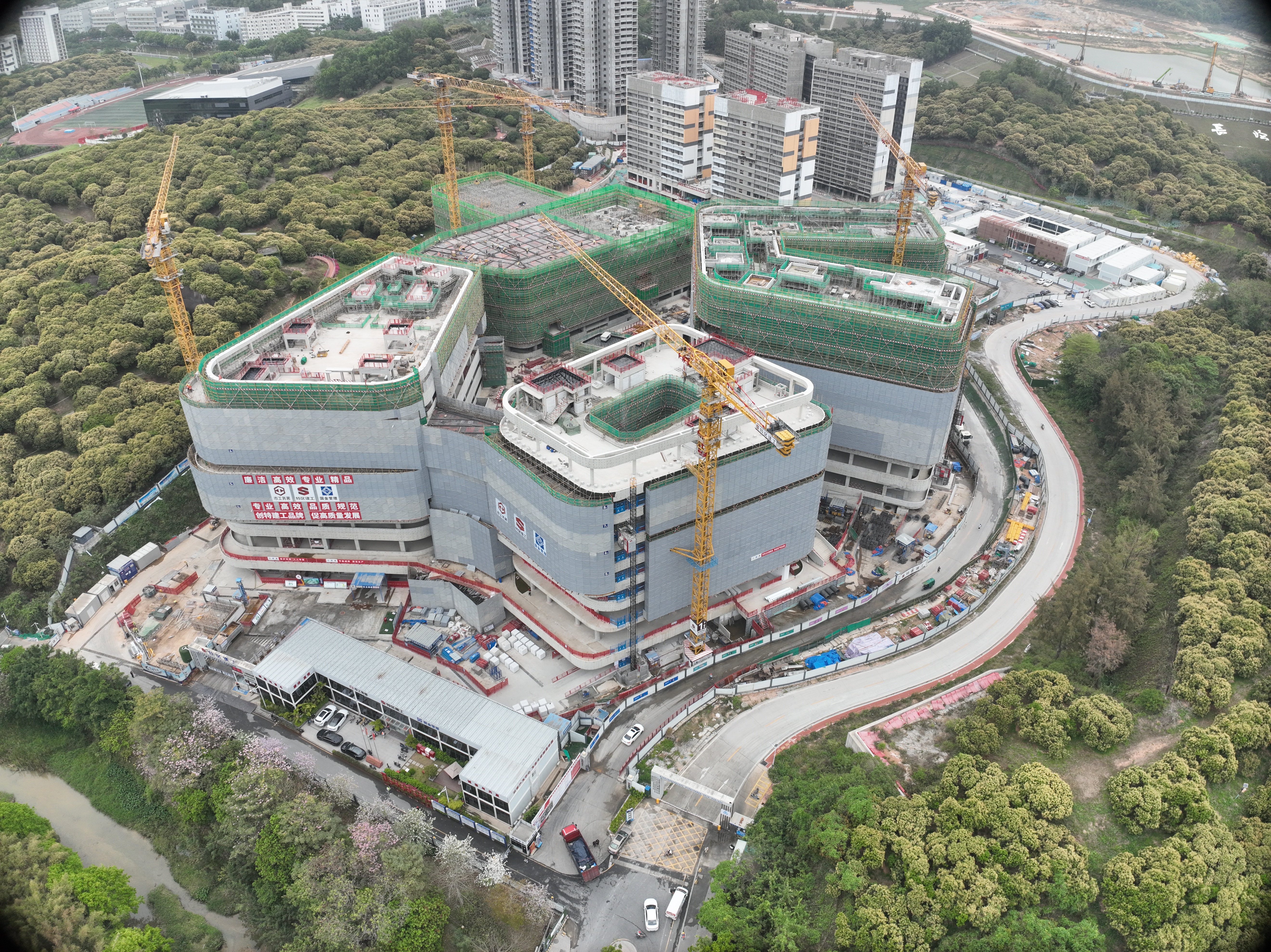 预计明年竣工，南科大医学院项目迎来新建设节点