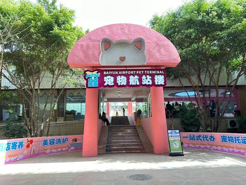让“毛孩子”轻松飞！全国首个宠物航站楼落地广州，5月起正式对外开放