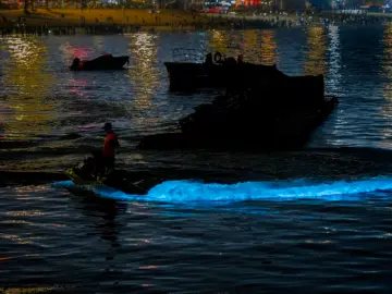 大梅沙现“蓝眼泪”荧光海