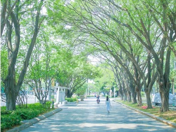 雨歇春浓，莫负好时光！东莞这些踏春胜地不容错过