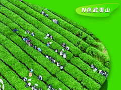 何以中国丨N色武夷山